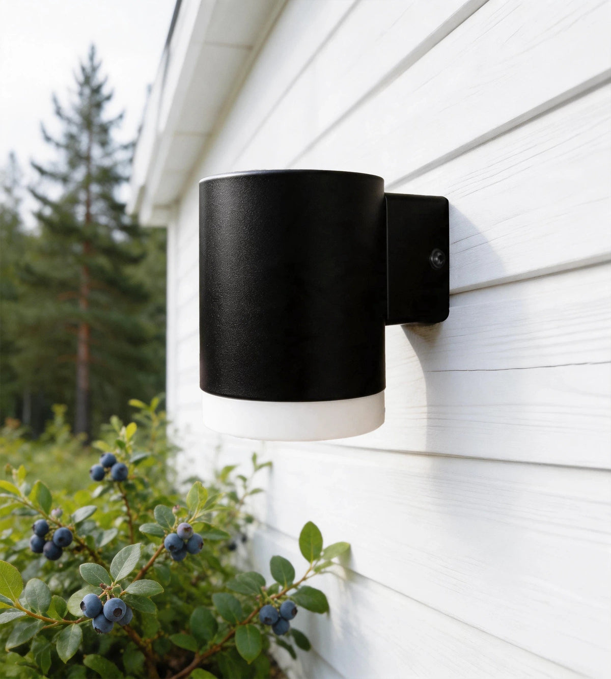 Applique LED OXFORD 500 lumens - 230V - Lumihome