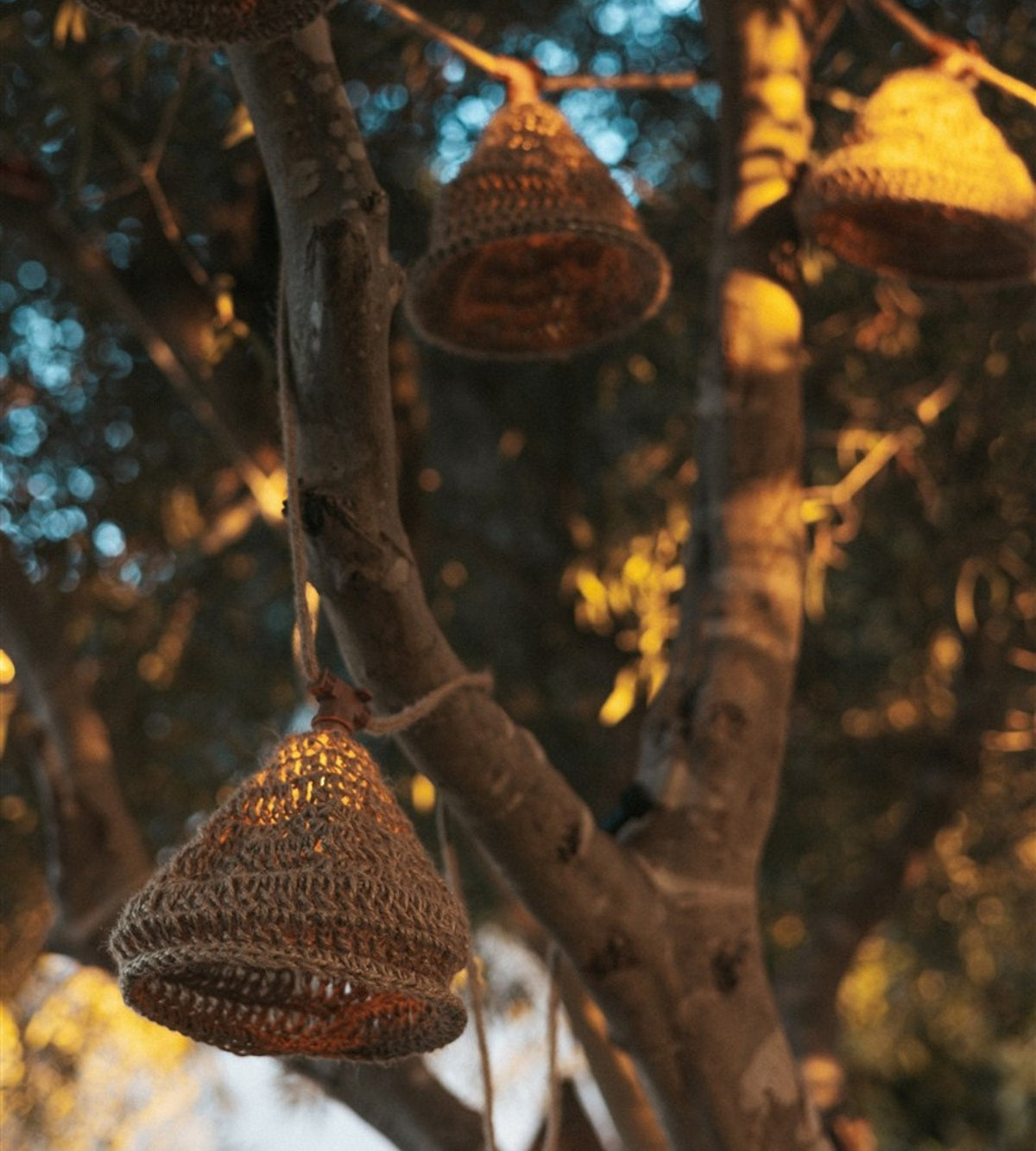 Guirlande solaire extérieur MARO - Design nature - 10 lampes - Lumihome