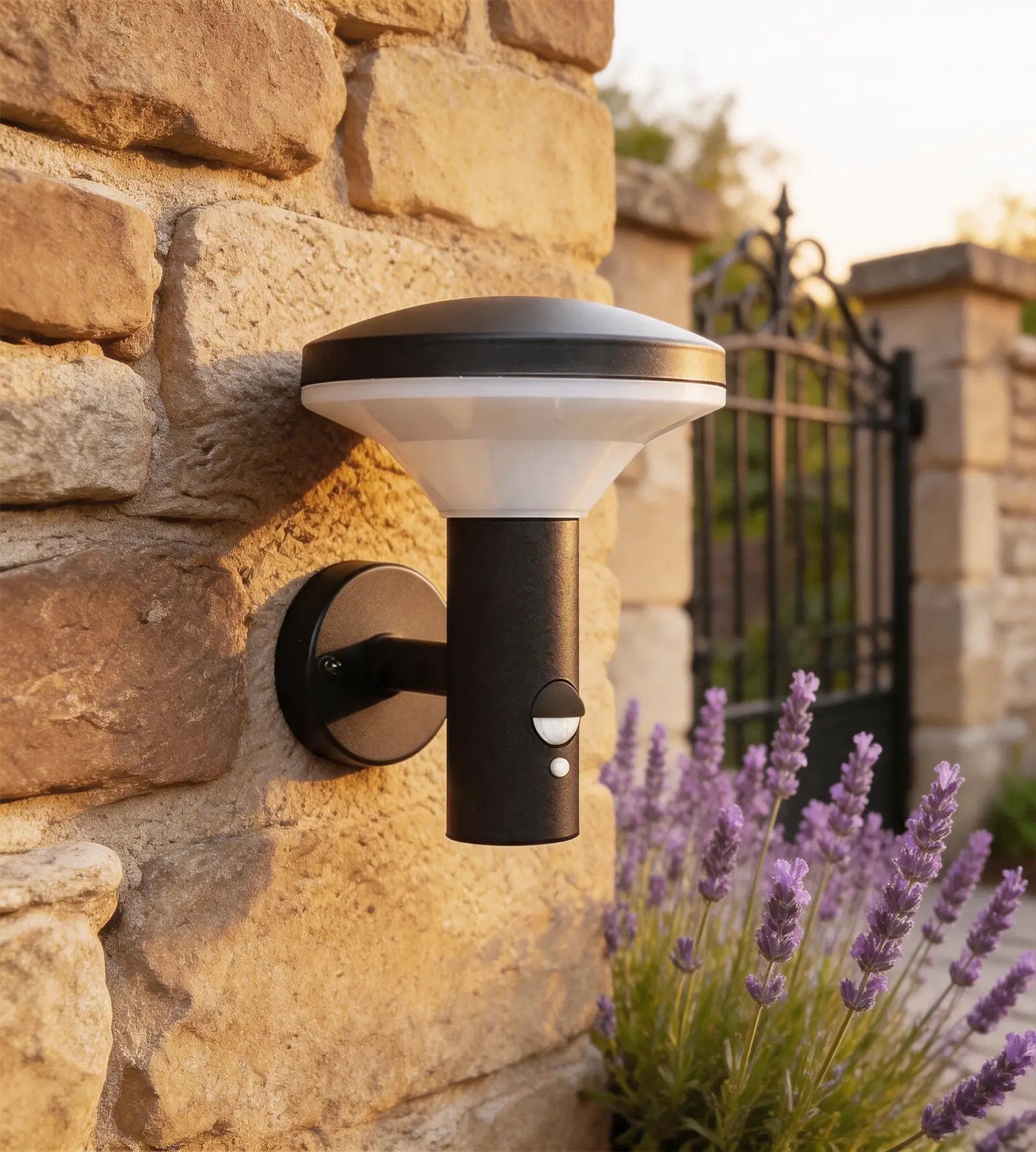 Applique Led COLMAR 230V 1000lumens avec détecteur - Lumihome