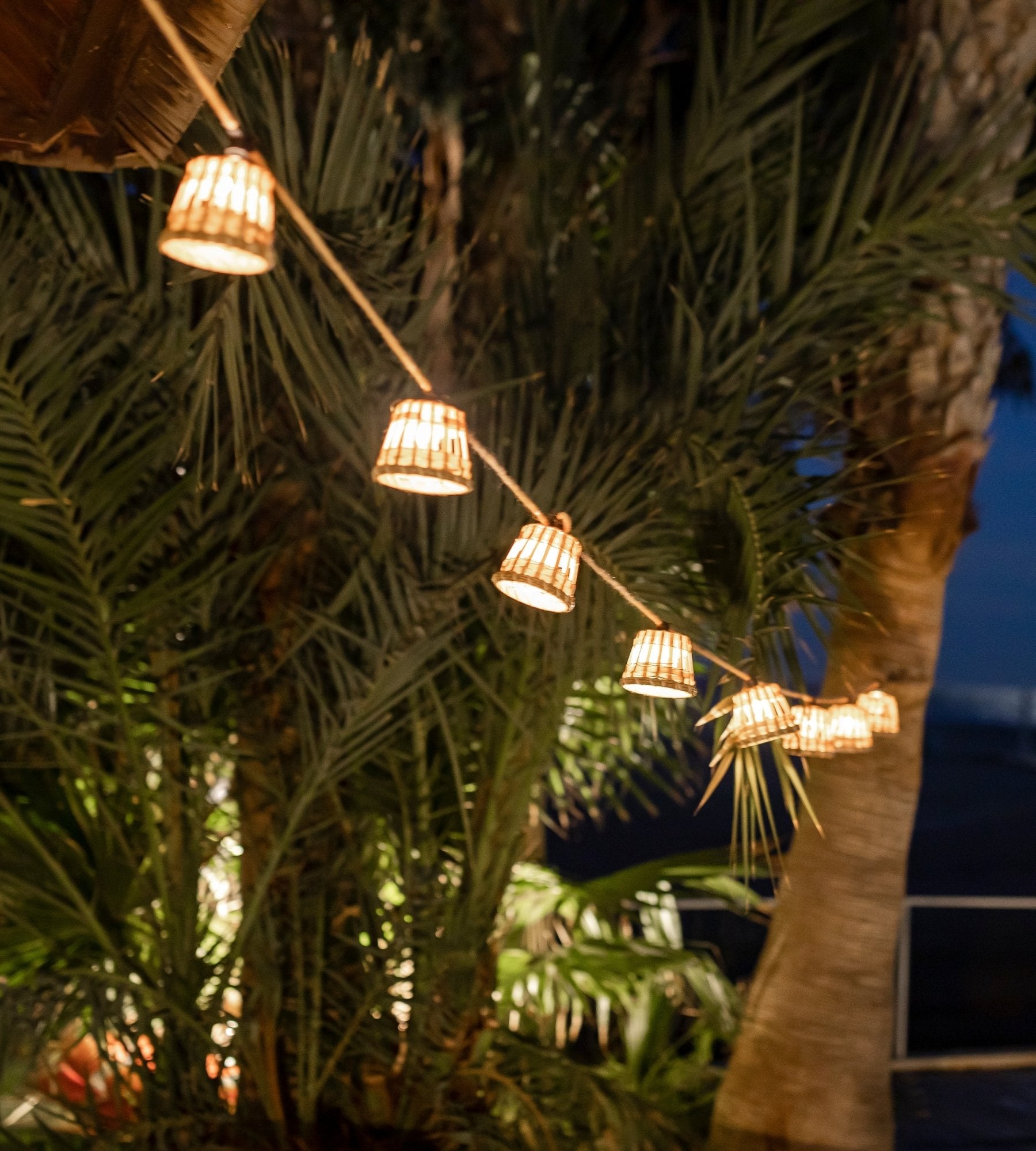 Guirlande lumineuse solaire AURORA - Design nature - 10 lampes - Lumihome