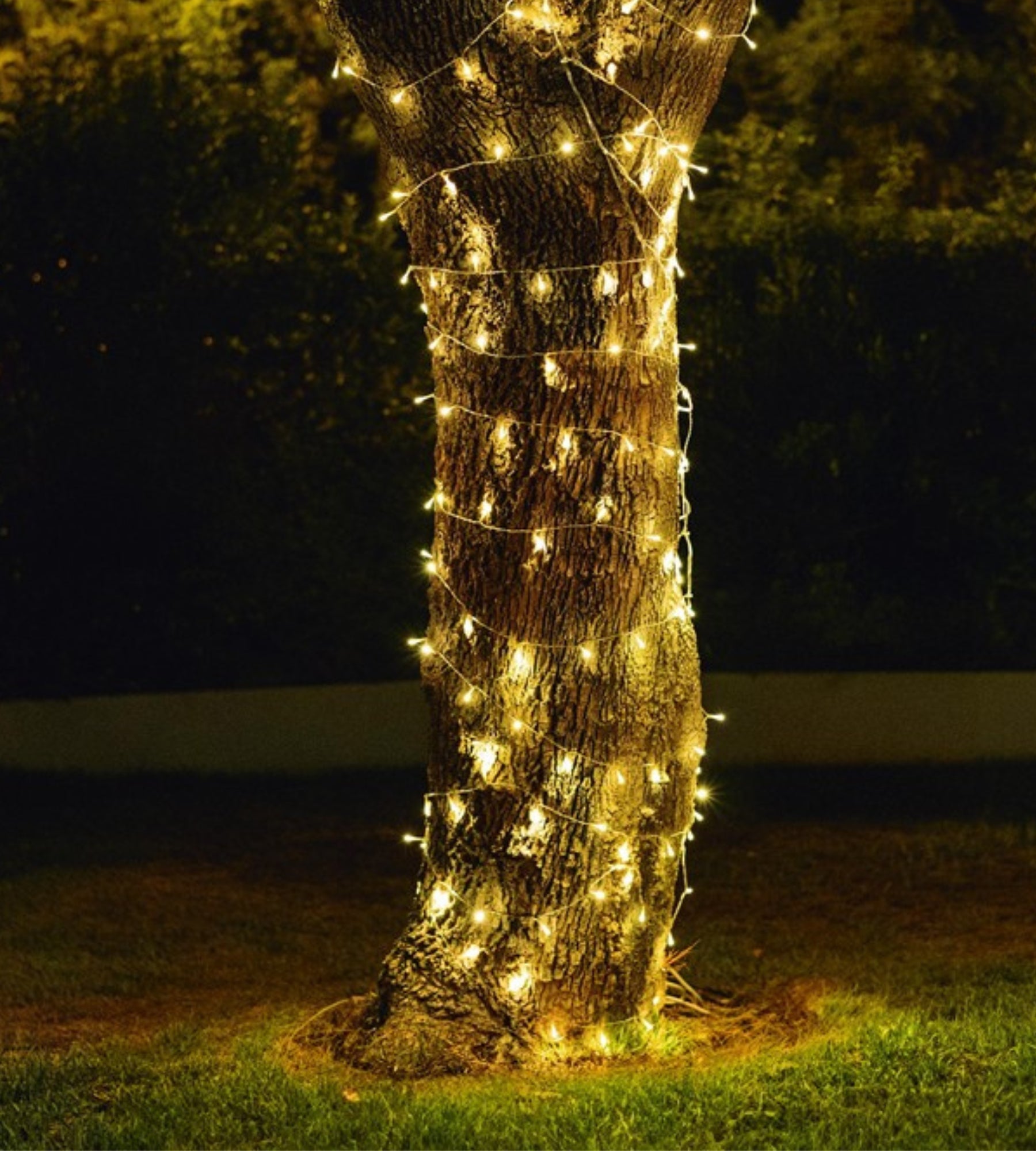 Guirlande lumineuse solaire LUCEO - Longueur de 10 mètres - 100 lumières de 1 lumen - Lumihome