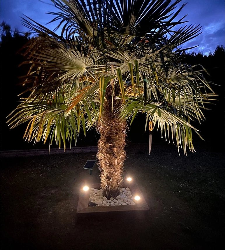 Kit de 3 spots led encastrés solaires Inox KIT3–SUN28 - 3 Câbles de 2m - 100 lumens / spot - Lumihome