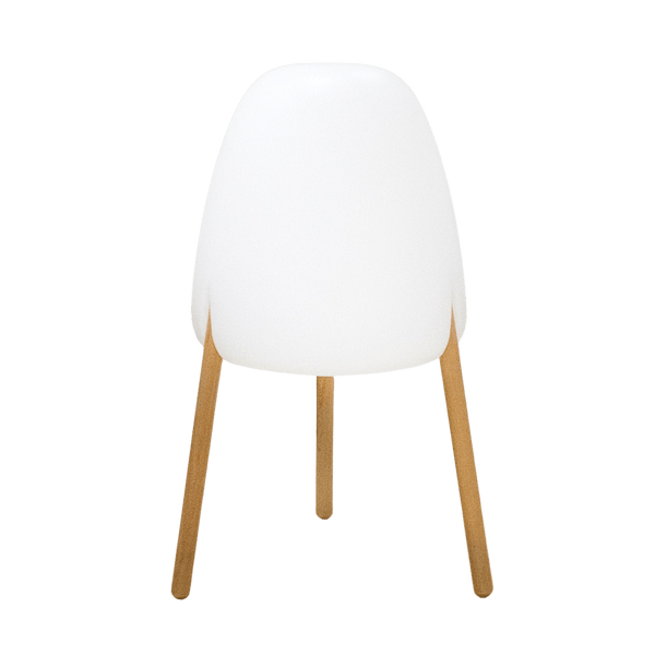 Lampes décoratives